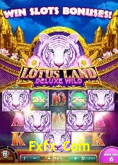 Responsive Design Fxfx Com